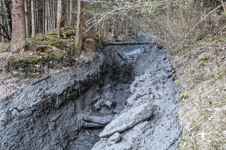 24. April 2013 Kegelhals: Starke Erosion sobald der Bach aus dem verbauten Gerinne ausbricht.