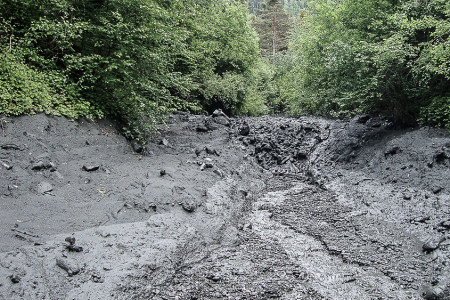 29. Mai 2013 Murgang bleibt vor Weiche 1 (vorübergehend) liegen.