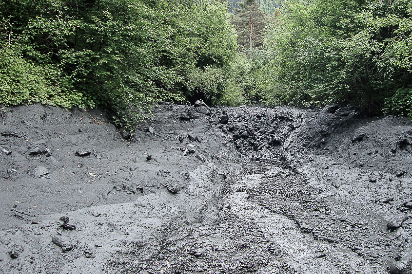 29. Mai 2013 Murgang bleibt vor Weiche 1 (vorübergehend) liegen.